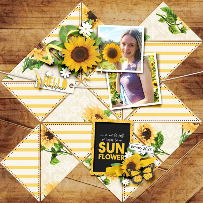 HelloSunshine2023web