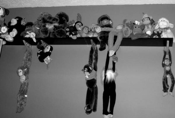 Monkey Menagerie - Photo desaturated and contrasted