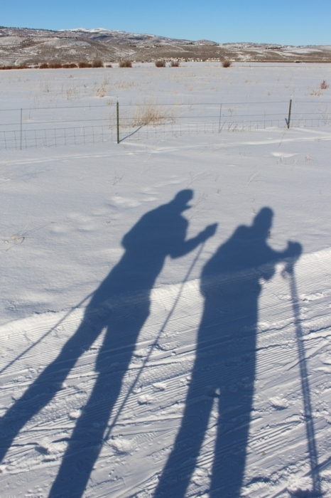 Cross Country Ski Shadow