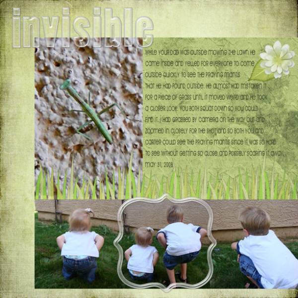 Invisible