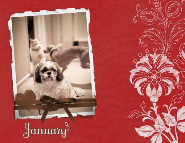 January Topper