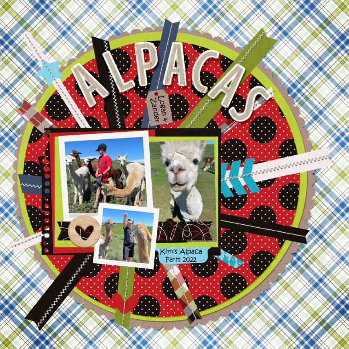 Boys and Alpacas