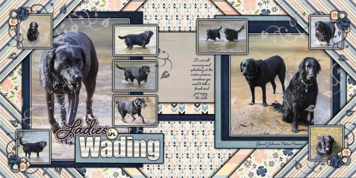 Ladies in Wading
