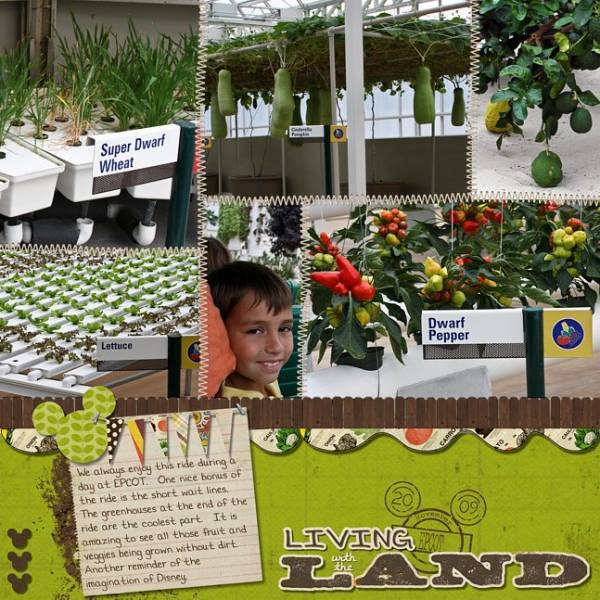 Living With The Land