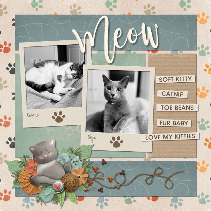 Meow4