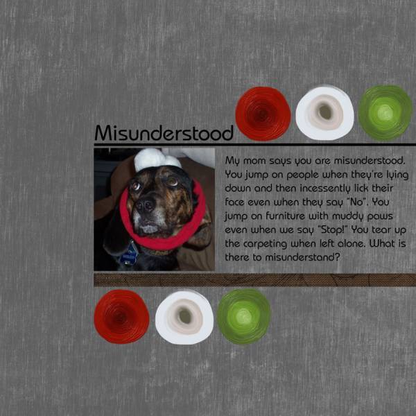 Misunderstood