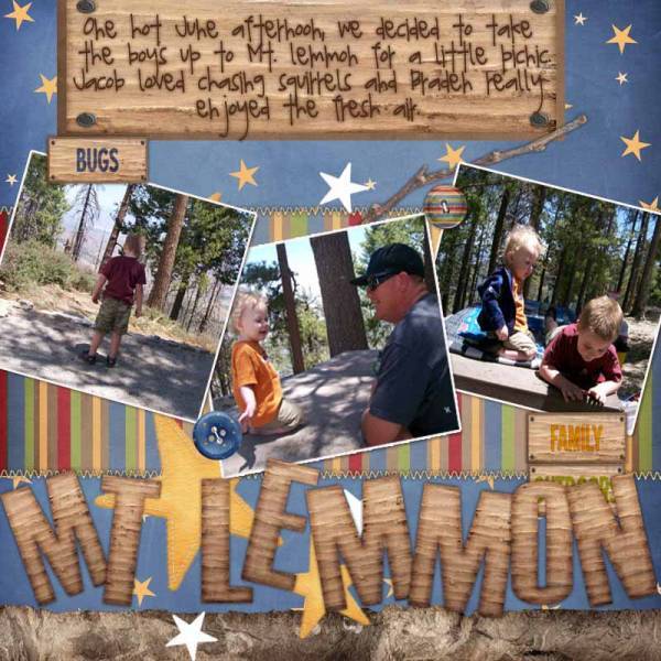 Mt. Lemmon family picnic