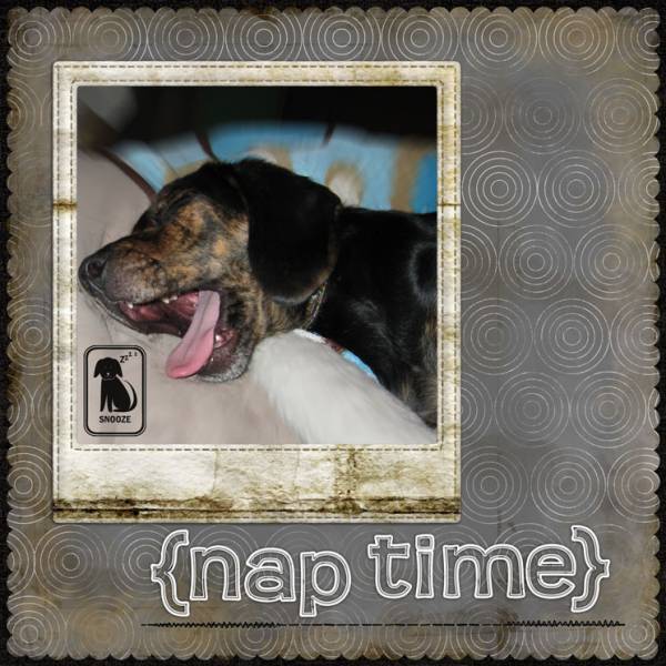 Nap Time