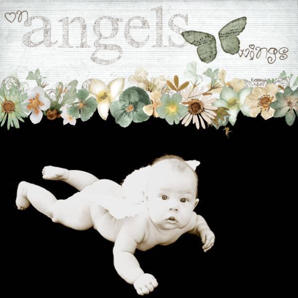 On Angels Wings