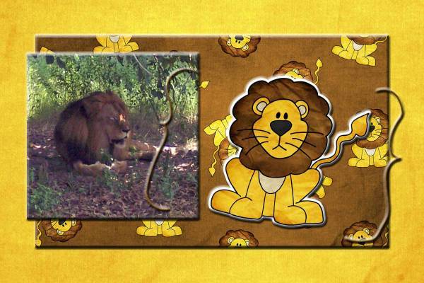 Jacksonville Zoo Page 11