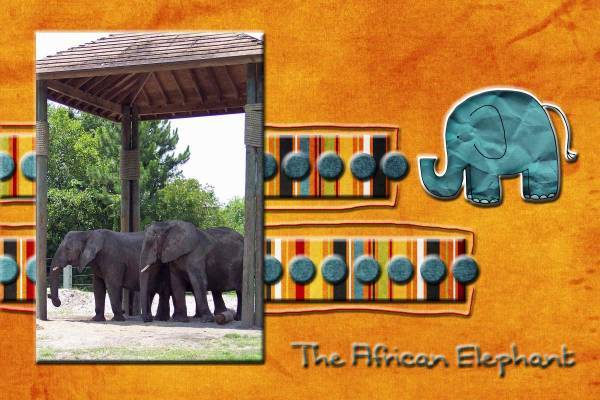 Jacksonville Zoo Page 2