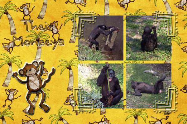 Jacksonville Zoo Page 4