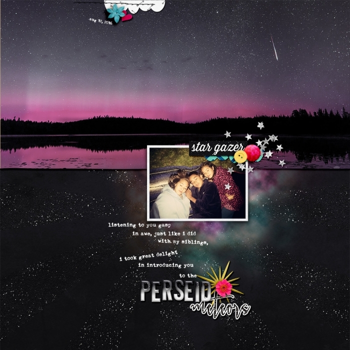 Perseid Meteors