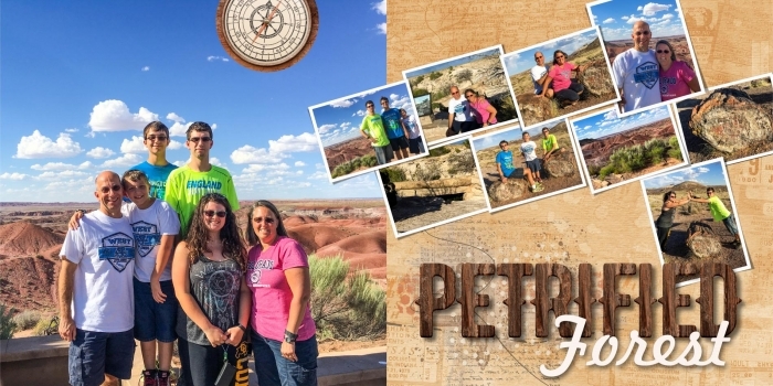 Petrified Forest