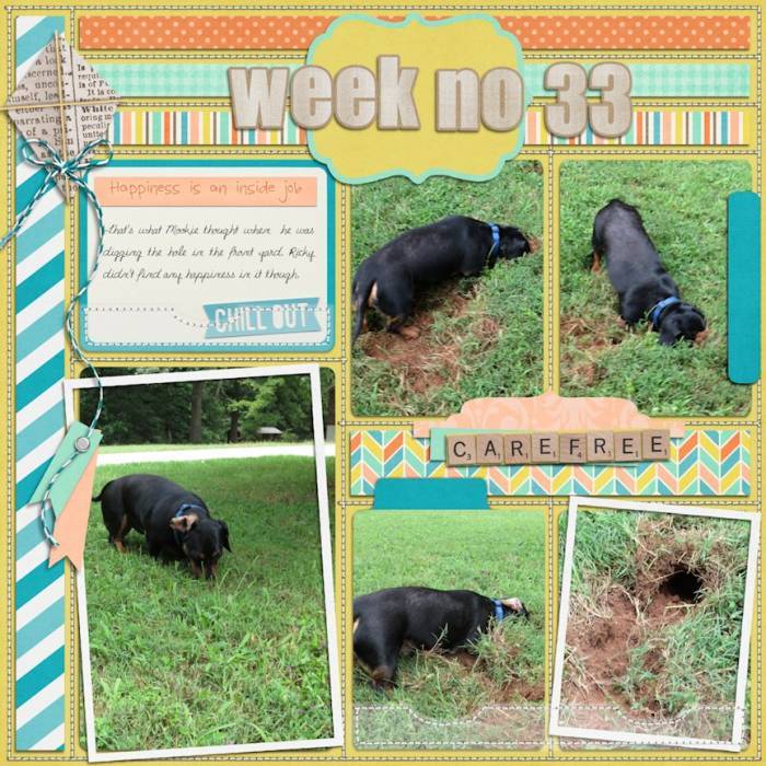 Week 33 2013 pg 1