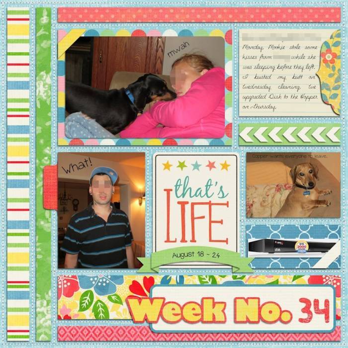 Week 34 2013
