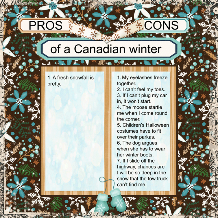 Canadian Winter