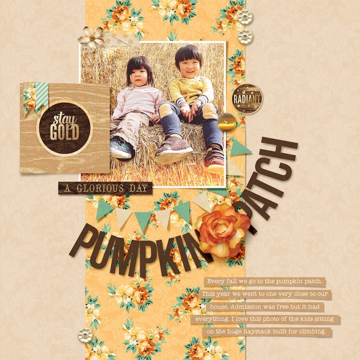 Pumpkin Patch