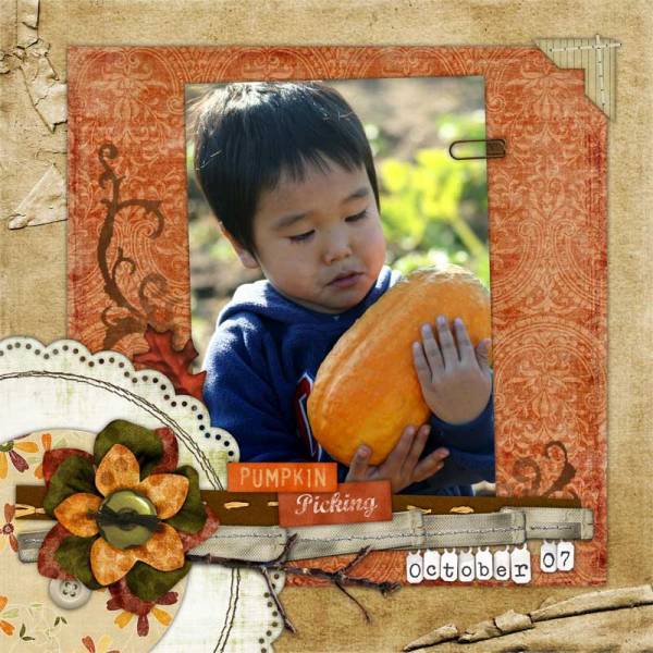 Pumpkin Picking