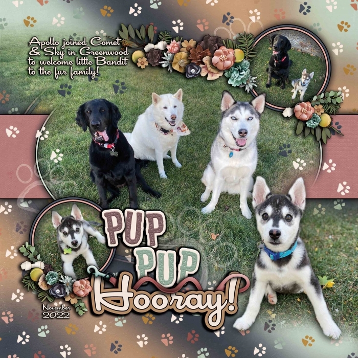 Pup Pup Hooray
