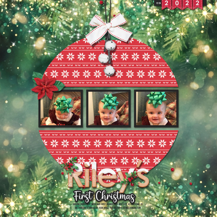 Riley's First Christmas