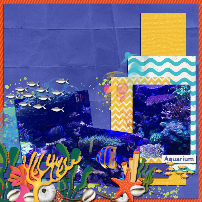 SSD15-_day5
