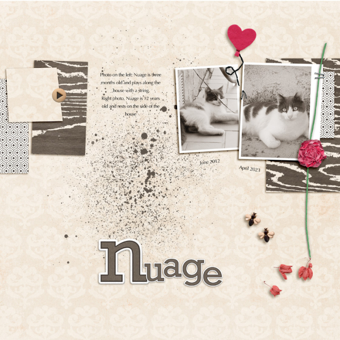 Nuage