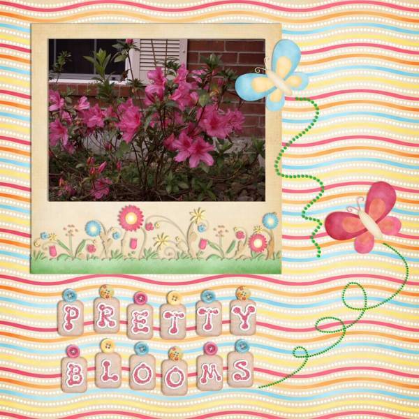 Pretty Blooms