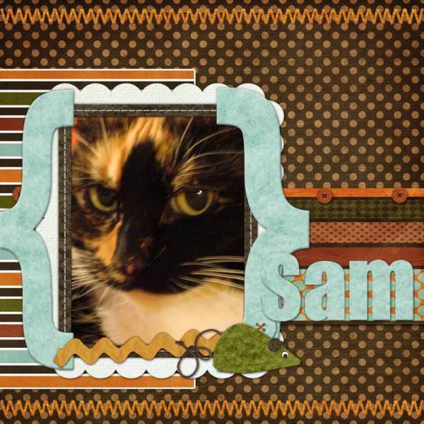 Sam