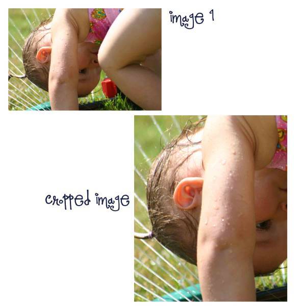 Cropped Photo