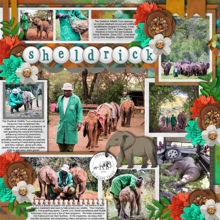Sheldrick Wildlife