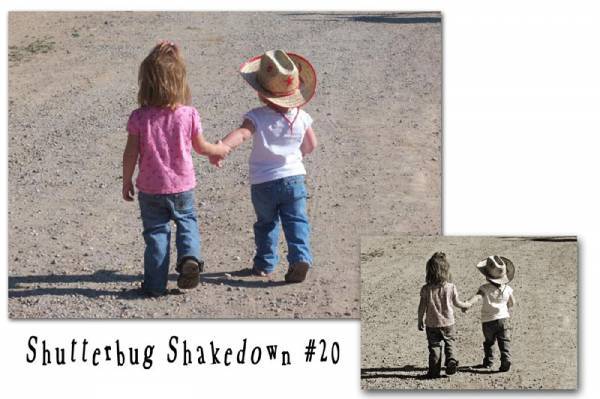 Shutterbug-_20