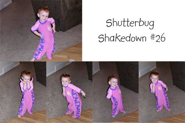 Shutterbug #26