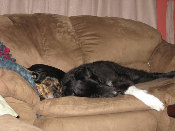 Challenge 2 Photo #1 - {Snooze}