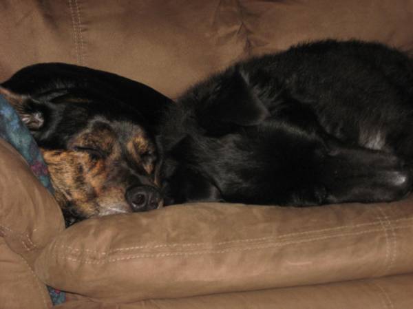 Challenge 2 Photo #2 - {Snooze}