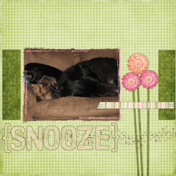 {Snooze}