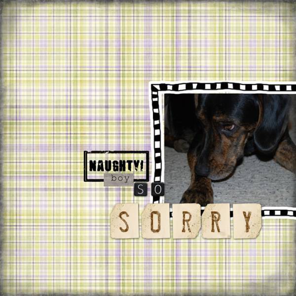 So Sorry
