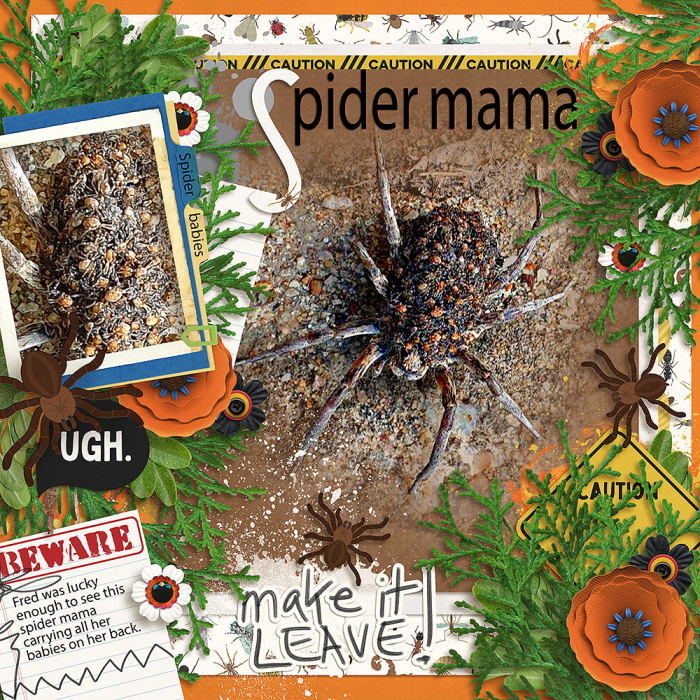 Spider Mama