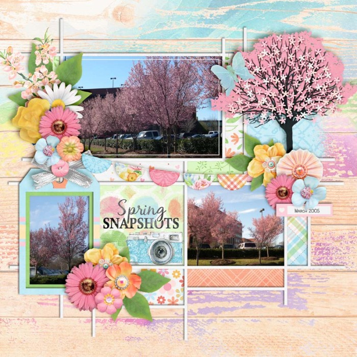 Spring Snapshots