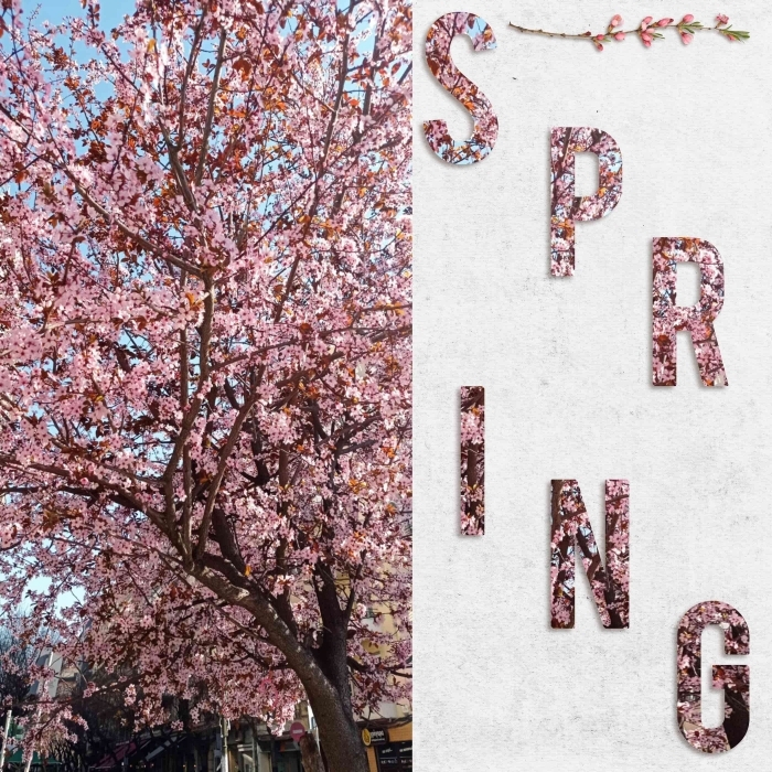 Spring