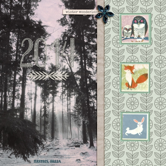 Winter Woodland