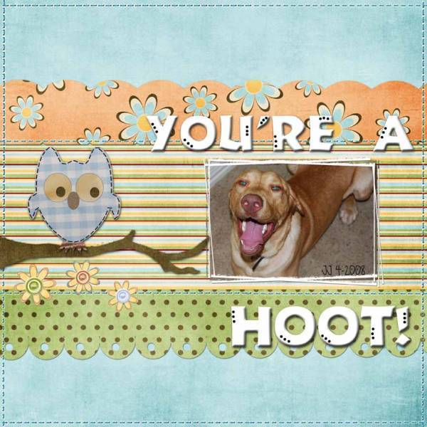 Your a Hoot!