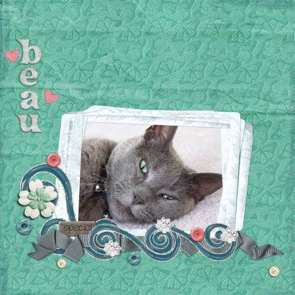 Beau