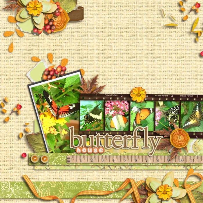 Butterfly House