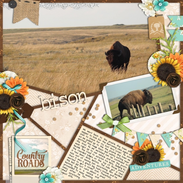 August - Color Combination