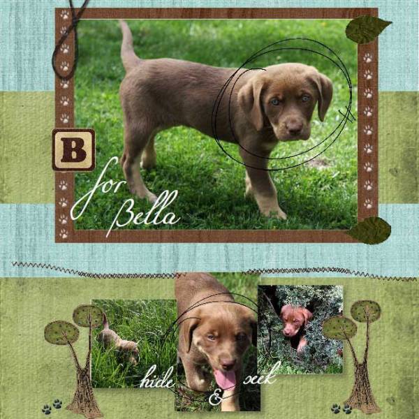 B for Bella