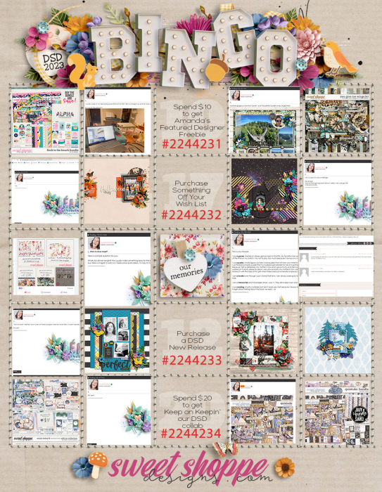 dsd2023_bingo