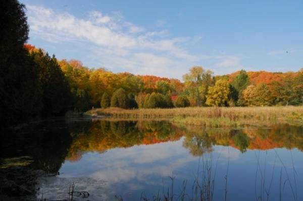 Fall Color