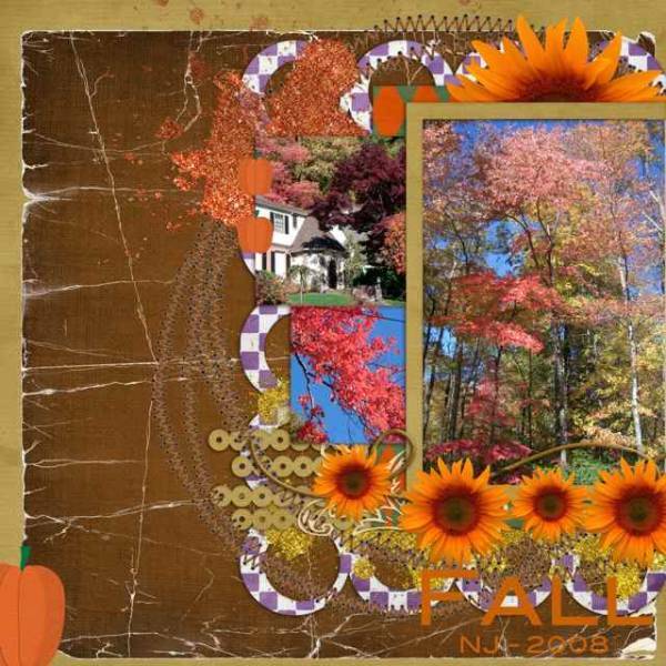 Fall - 2008