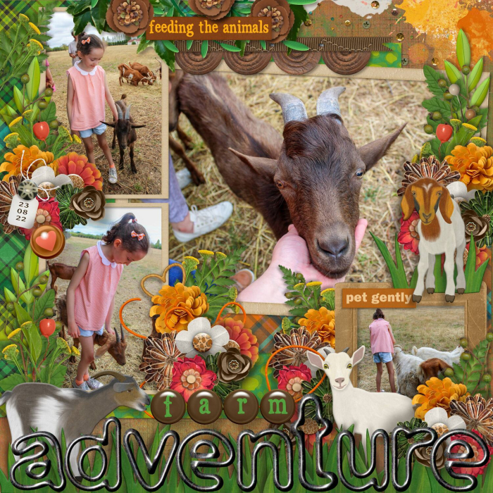 Farm Adventure